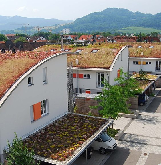 Siedlung in Freiburg; allle Fotos optigrün