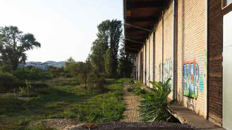 Handbuch für die Reparatur von Maik Novotny