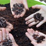 Stadt und Land Berlin spendet Komposter für Schüler der Hermann-Boddin-Schule