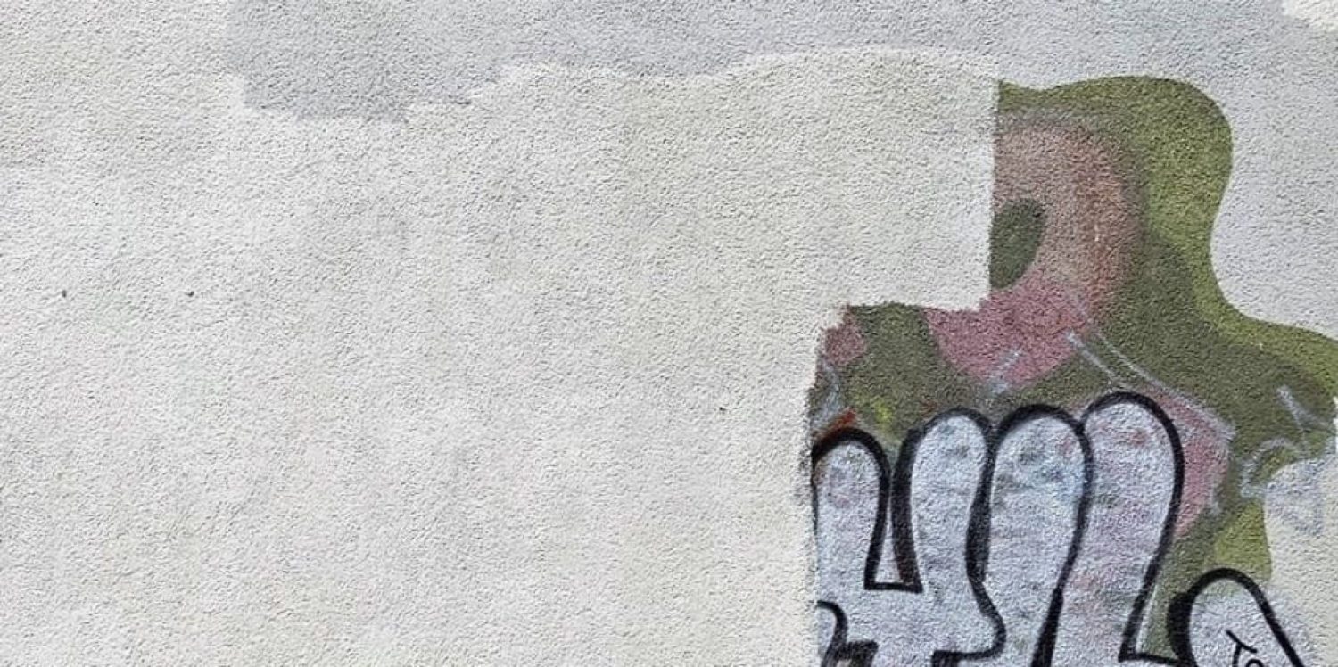 Bauen ohne Chemie gegen Graffiti graffiti_hauswand1_2020
